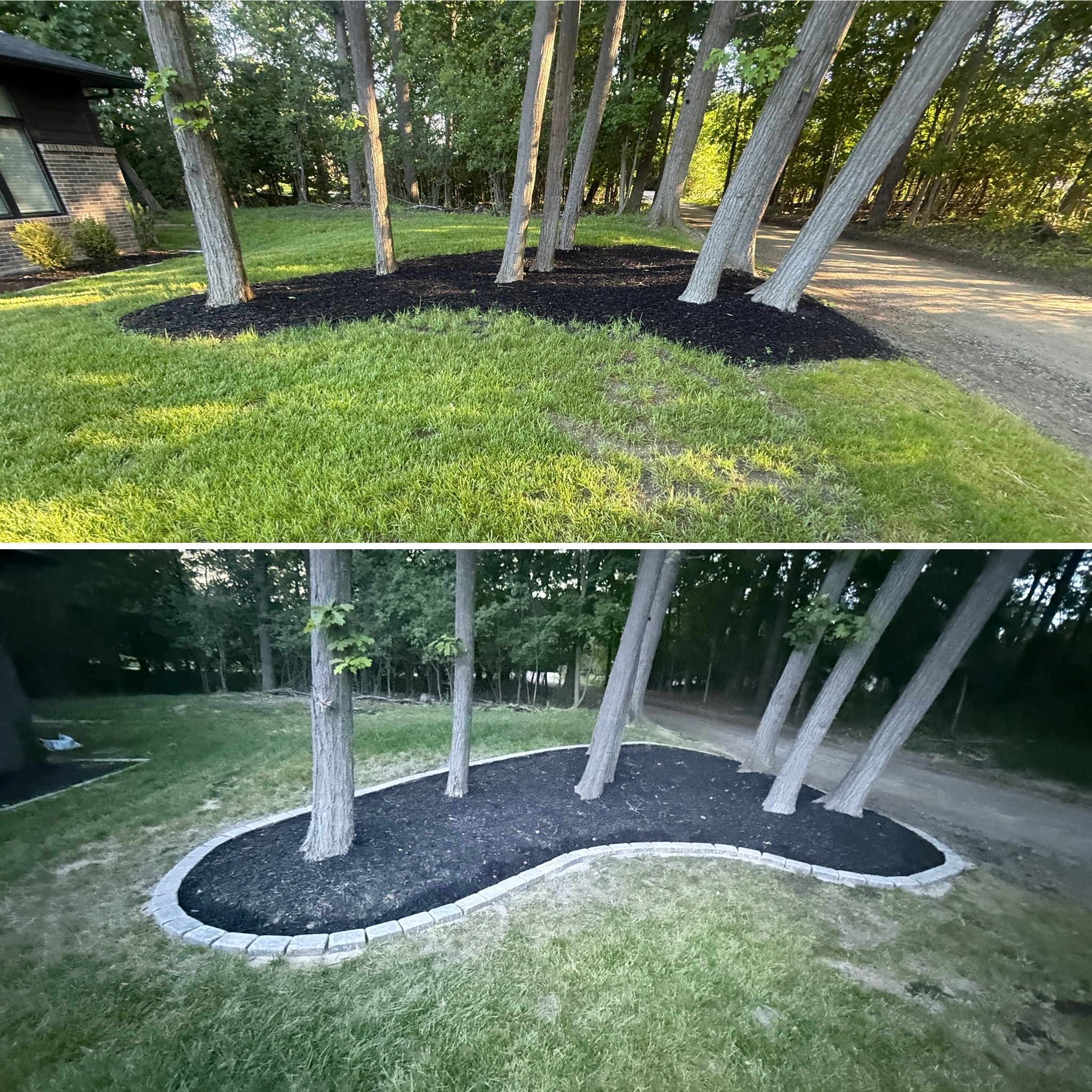 Large front yard landscape redesign with new plantings and mulch