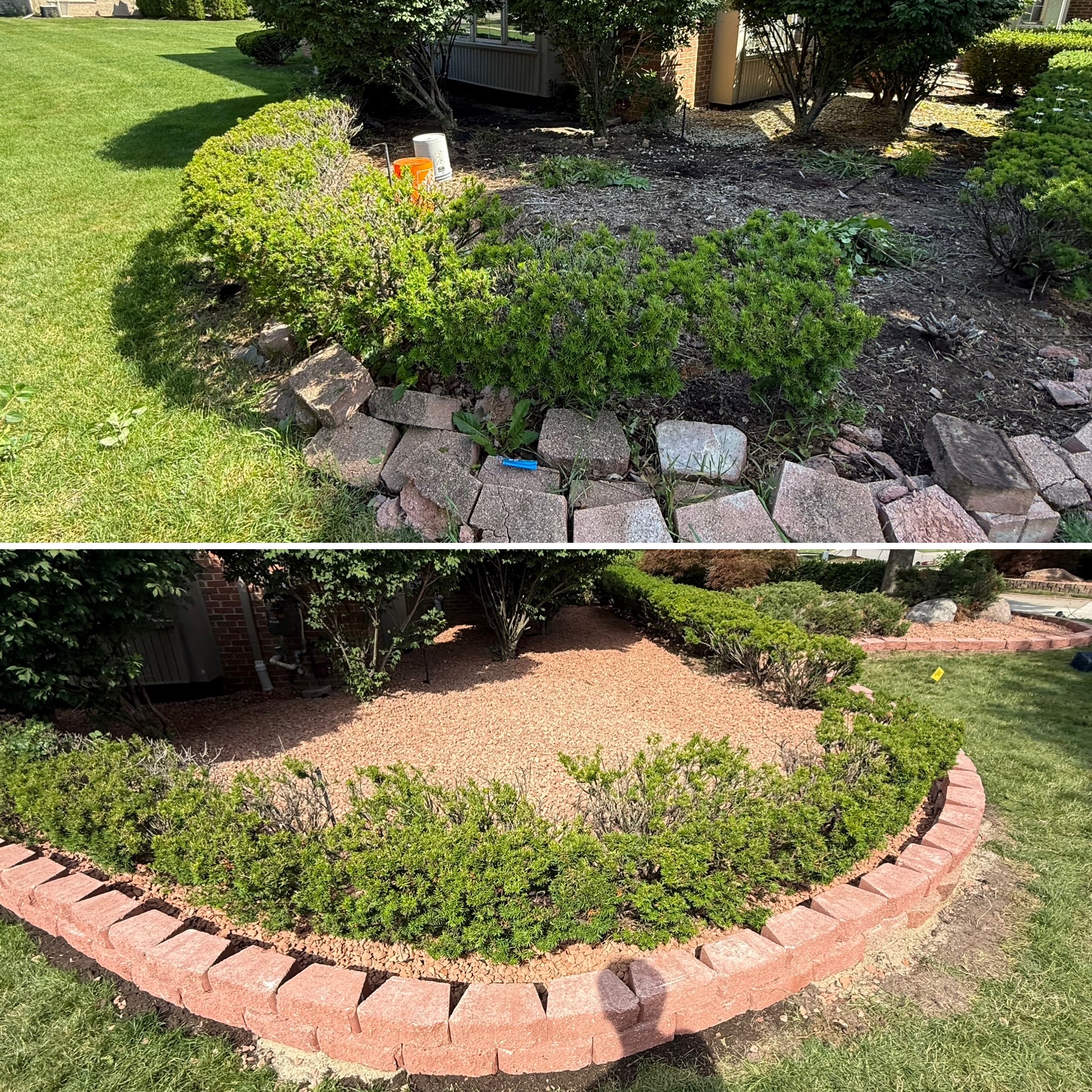 Multi-tree mulch bed with stone edging