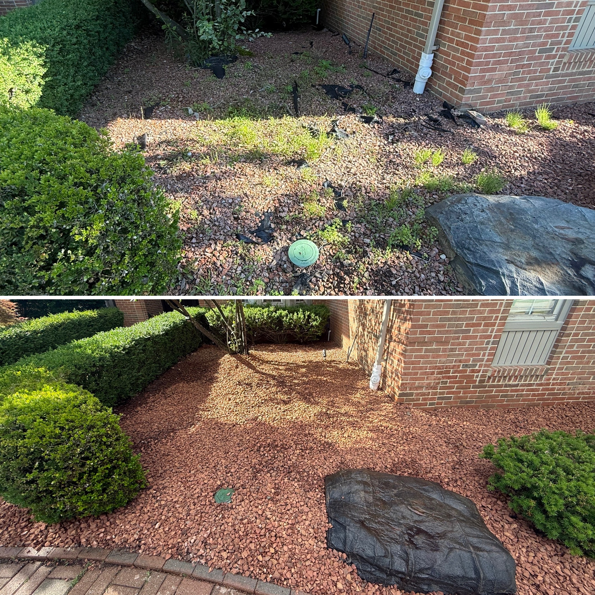 Full bed redesign with new plantings