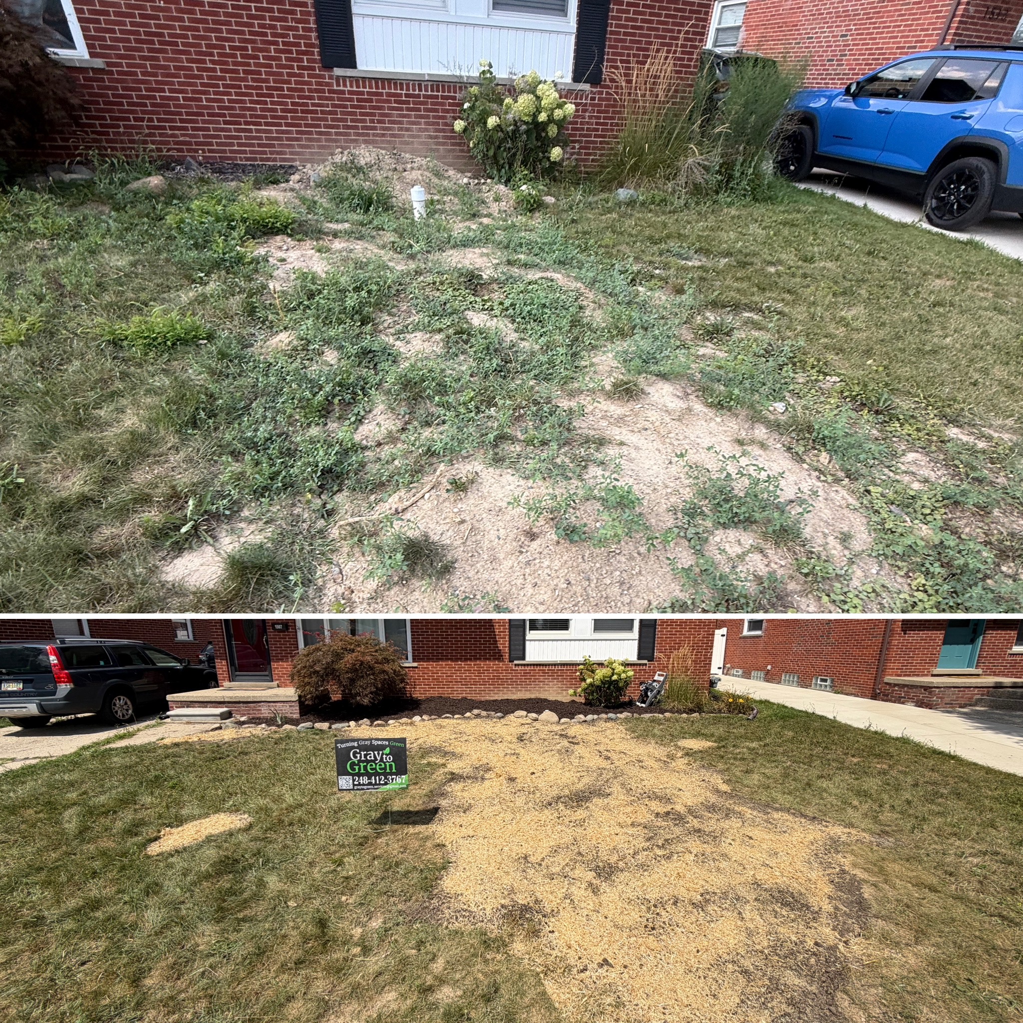 Overgrown fence bed cleared and mulched